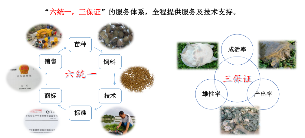 六统一·三保证