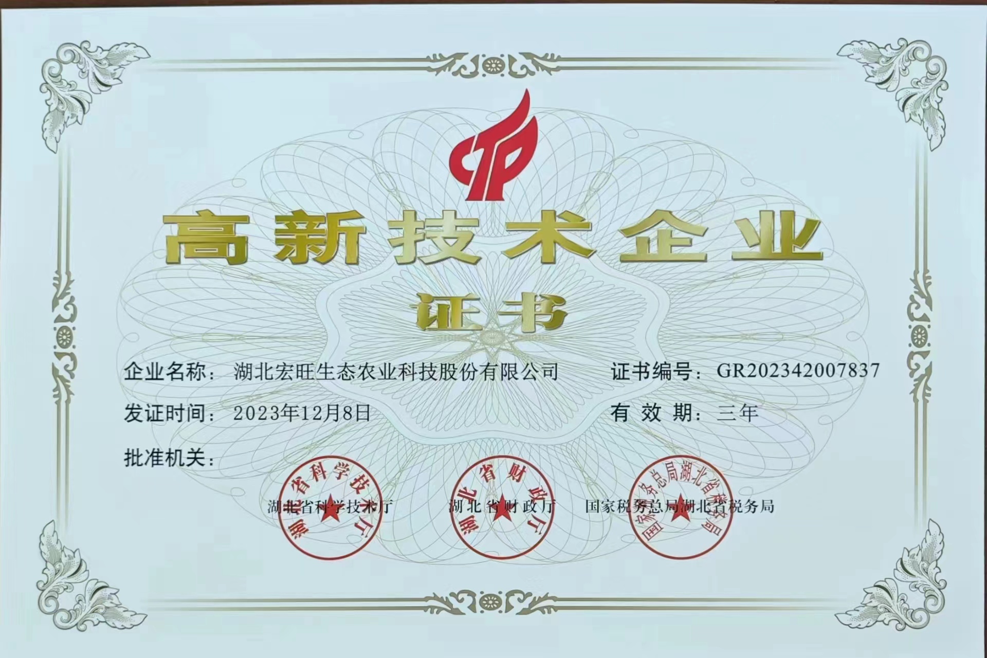 高新技术企业