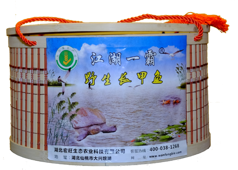 野生甲鱼礼品