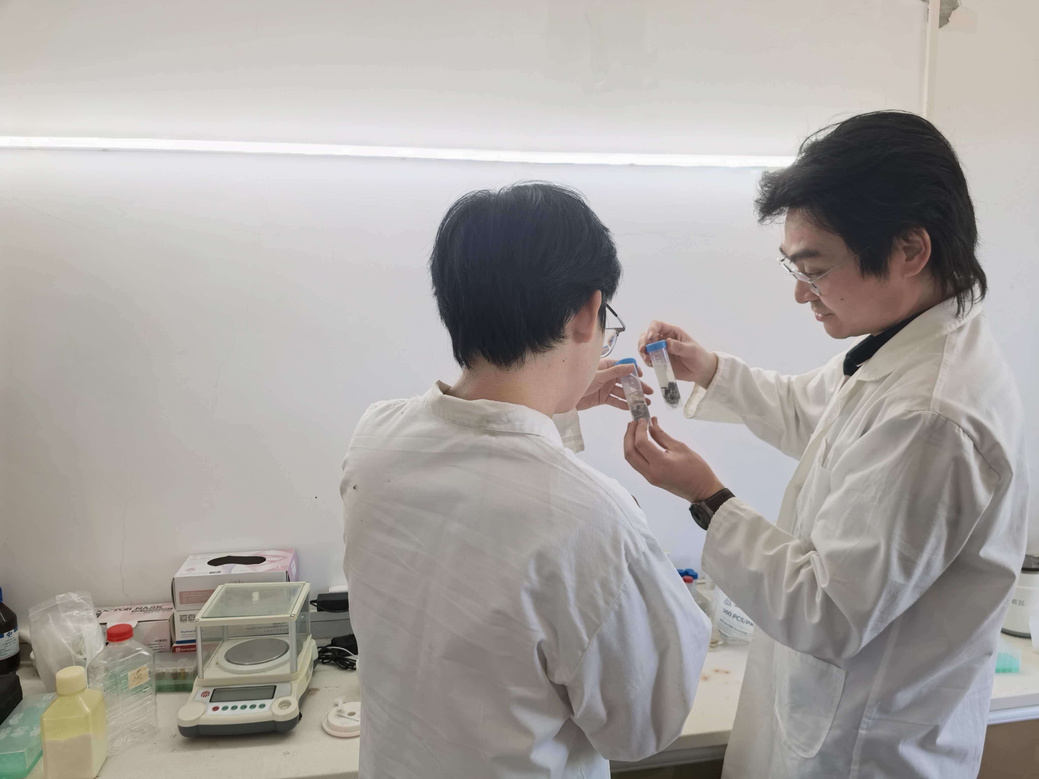 新闻照片 10